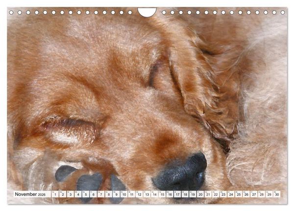 Produktbild: Niedliche Hunde - Digitale Aquarelle (Wandkalender 2026 DIN A4 quer), CALVENDO Monatskalender