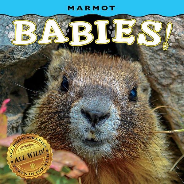 Produktbild: Marmot Babies!