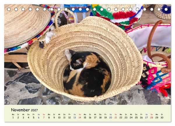 Produktbild: MarokkoCats (Tischkalender 2027 DIN A5 quer), CALVENDO Monatskalender