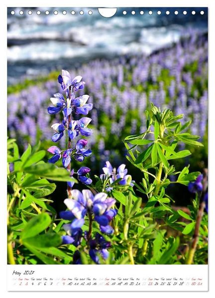 Produktbild: Iceland Calendar 2027 - Discover unique nature - UK Version (Wall Calendar 2027 DIN A4 portrait), CALVENDO 12 Month Wall Calendar
