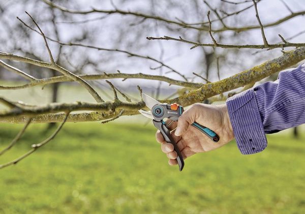 Produktbild: GARDENA 12203-20 ExpertCut Gartenschere