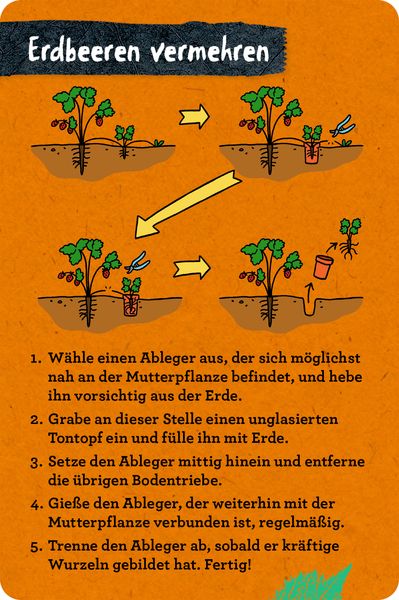 Produktbild: 50 Garten-Projekte - Nature Zoom (Blechdose)