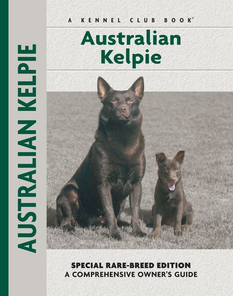 Produktbild: Australian Kelpie