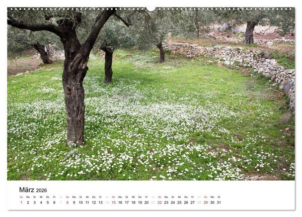 Produktbild: Al&oacute;nnisos, Ski&aacute;thos, Sk&oacute;pelos (Wandkalender 2026 DIN A2 quer), CALVENDO Monatskalender