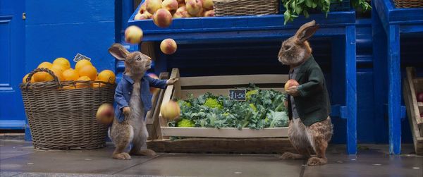 Produktbild: Peter Hase 2 - Ein Hase macht sich vom Acker