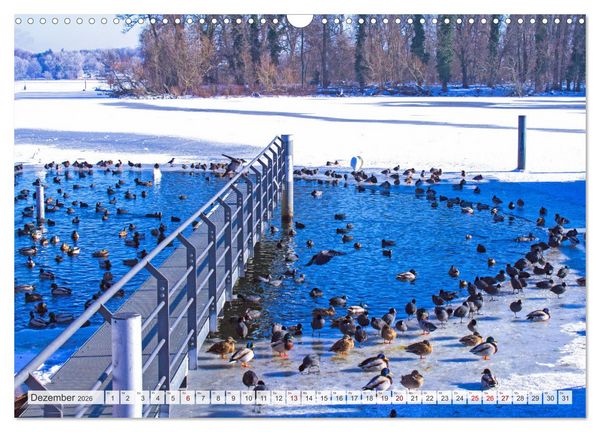 Produktbild: Masuren - Polens Seen-Paradies (Wandkalender 2026 DIN A3 quer), CALVENDO Monatskalender