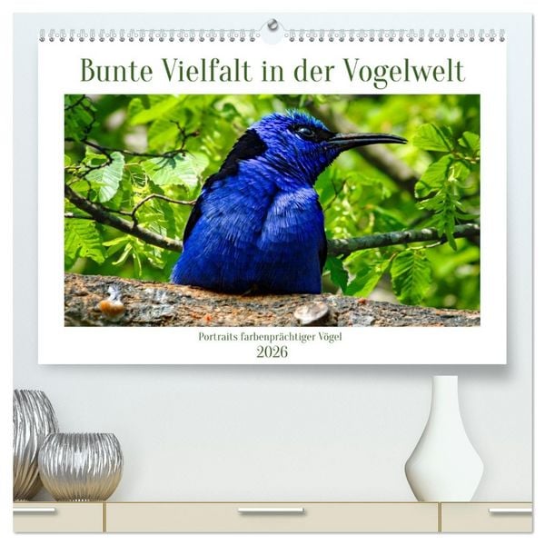 Produktbild: Bunte Vielfalt in der Vogelwelt (hochwertiger Premium Wandkalender 2026 DIN A2 quer), Kunstdruck in Hochglanz