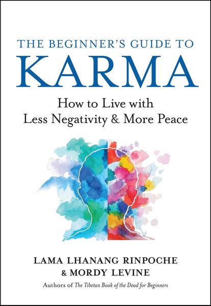 Produktbild: The Beginner's Guide to Karma