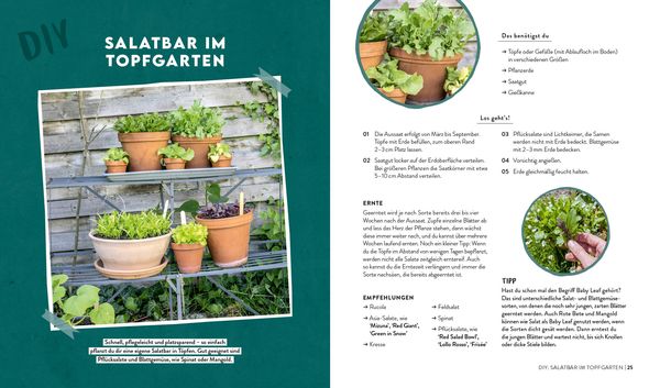 Produktbild: Keine Zeit zu g&auml;rtnern &ndash;&nbsp;Easy planen, pflegen und ernten: Gem&uuml;se, Kr&auml;uter & Beeren