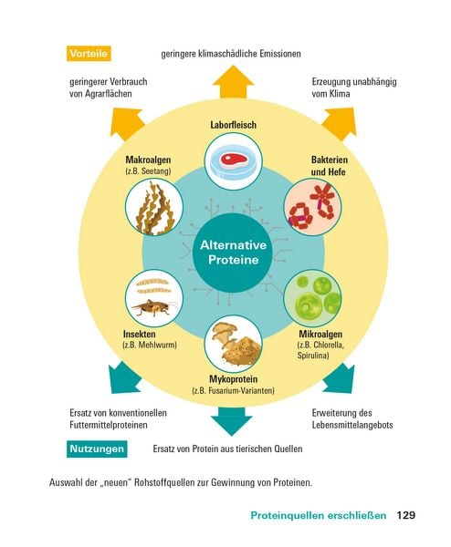 Produktbild: Proteine und Aminos&auml;uren