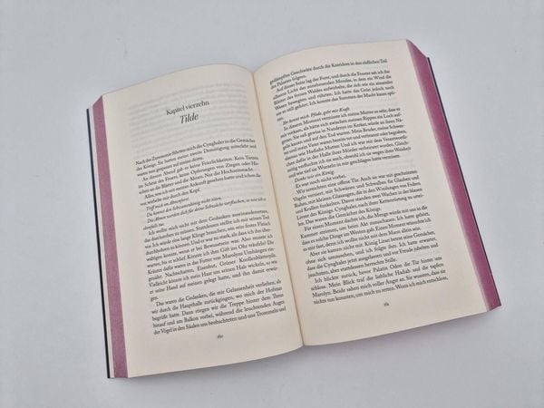 Produktbild: A Snake among Swans