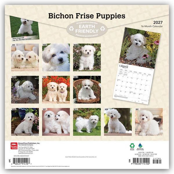 Produktbild: Bichon Fris&eacute; Puppies &ndash; Bichon Fris&eacute; Welpen 2027 &ndash; 16-Monatskalender