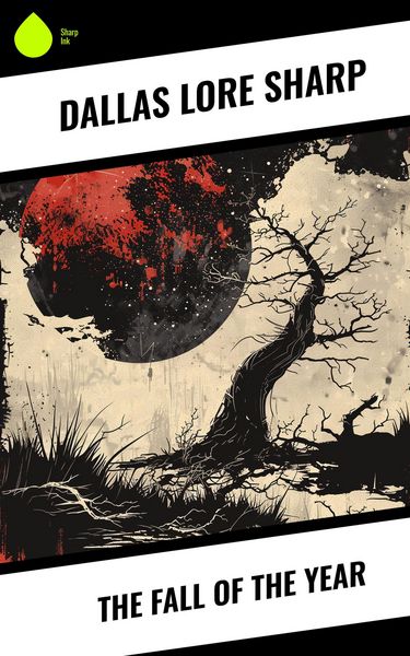 Produktbild: The Fall of the Year