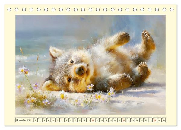 Produktbild: Wombats. Australiens liebenswerte Beuteltiere (Tischkalender 2027 DIN A5 quer), CALVENDO Monatskalender
