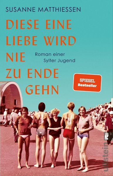 Produktbild: Diese eine Liebe wird nie zu Ende gehn