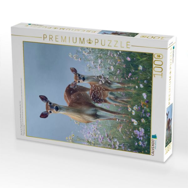 Produktbild: CALVENDO Puzzle Zart wie der Morgenwind, das Rehkitz tanzt durch den Juni | 1000 Teile Lege-Gr&ouml;&szlig;e 64x48cm Foto-Puzzle f&uuml;r gl&uuml;ckliche Stunden