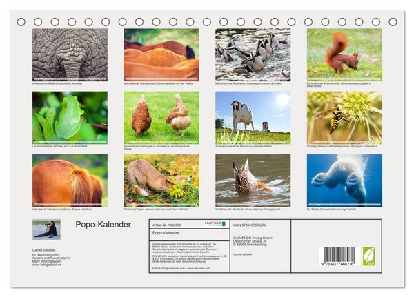 Produktbild: Popo-Kalender (Tischkalender 2026 DIN A5 quer), CALVENDO Monatskalender