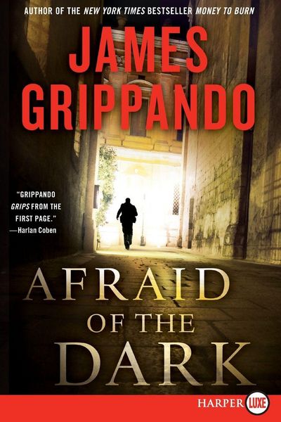 Produktbild: Afraid of the Dark LP