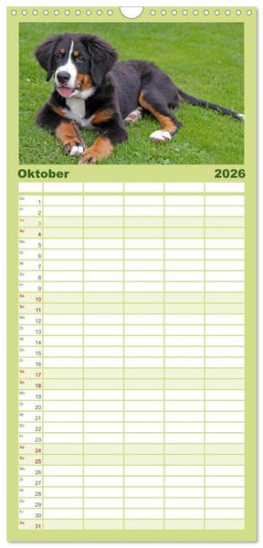 Produktbild: Familienplaner 2026 - Hunde - Beste Freunde der Menschen mit 5 Spalten (Wandkalender, 21 x 45 cm) CALVENDO
