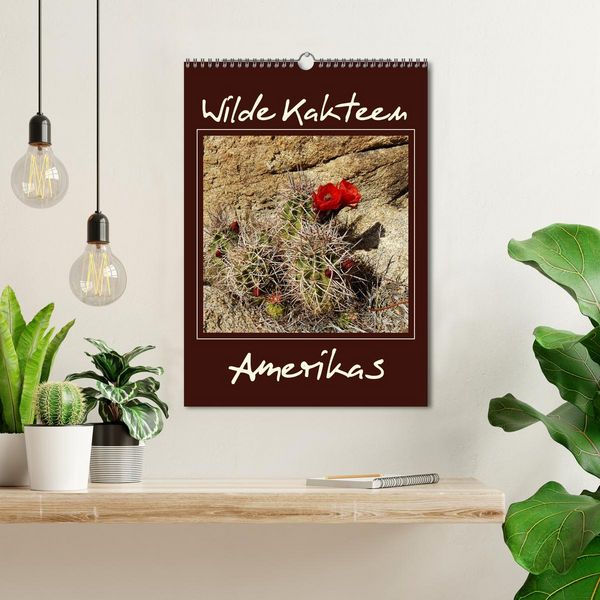 Produktbild: Wilde Kakteen Amerikas (Wandkalender 2026 DIN A3 hoch), CALVENDO Monatskalender