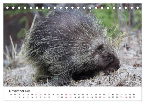 Produktbild: Alaska und West-Kanada (Tischkalender 2026 DIN A5 quer), CALVENDO Monatskalender