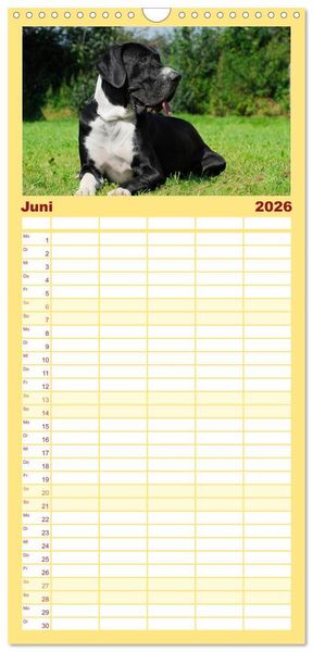 Produktbild: Familienplaner 2026 - Deutsche Dogge mit 5 Spalten (Wandkalender, 21 x 45 cm) CALVENDO