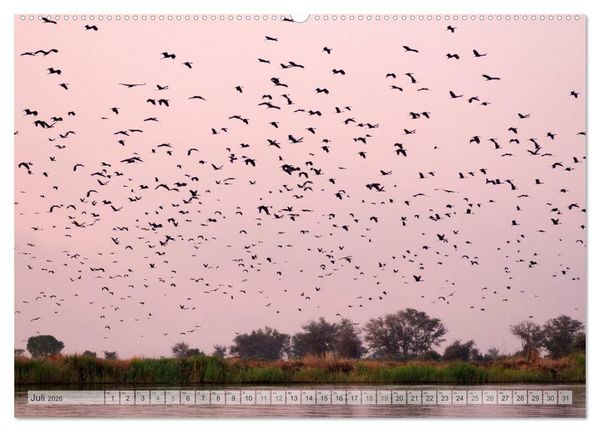 Produktbild: NAMIBIA Christian Heeb (Wandkalender 2026 DIN A2 quer), CALVENDO Monatskalender