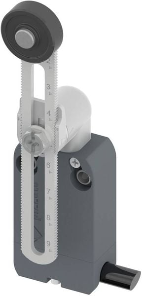 Pizzato Elettrica NF B112KP-DN2 NF B112KP-DN2 Endschalter 250 V/AC 4 A Rollenschwenkhebel tastend IP67 1 St.