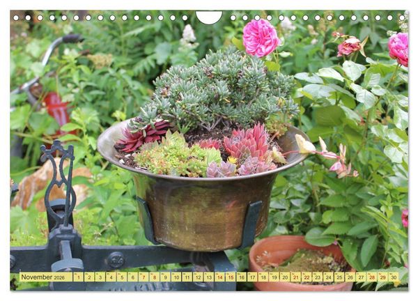 Produktbild: Gartenzauber (Wandkalender 2026 DIN A4 quer), CALVENDO Monatskalender