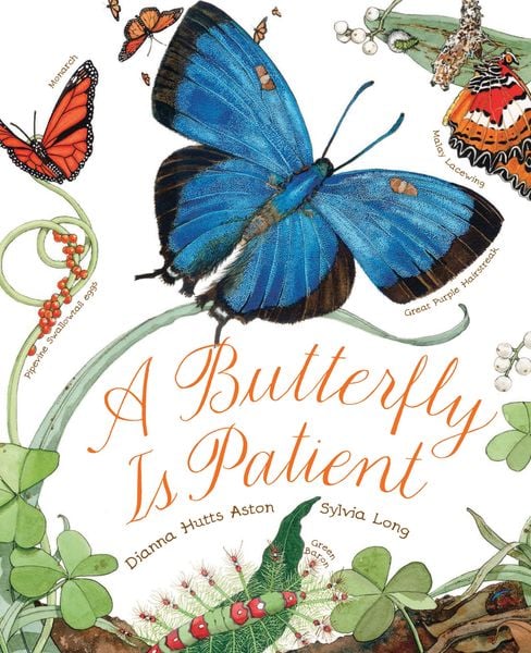 Produktbild: A Butterfly Is Patient