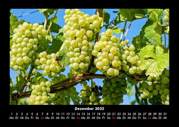 Produktbild: Obstkalender 2025 Fotokalender DIN A3