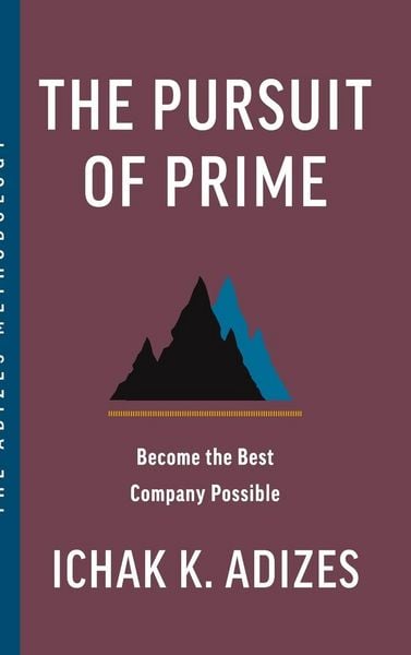 Produktbild: The Pursuit of Prime