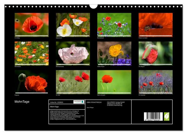 Produktbild: MohnTage (Wandkalender 2026 DIN A3 quer), CALVENDO Monatskalender