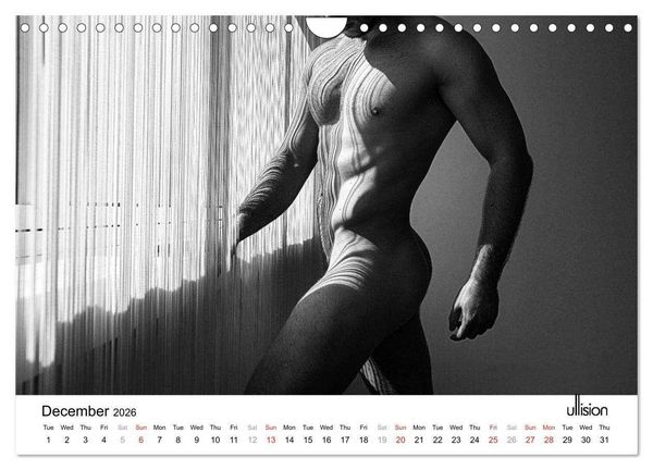 Produktbild: Male Nude Art (Wall Calendar 2026 DIN A4 landscape), CALVENDO 12 Month Wall Calendar
