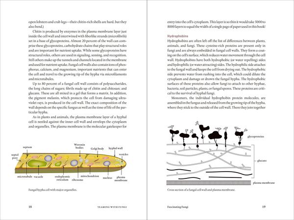 Produktbild: Teaming with Fungi