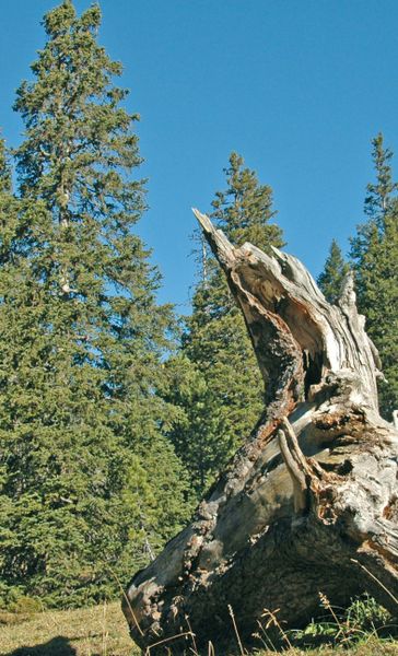Produktbild: Die sch&ouml;nsten Bergwanderungen in Vorarlberg