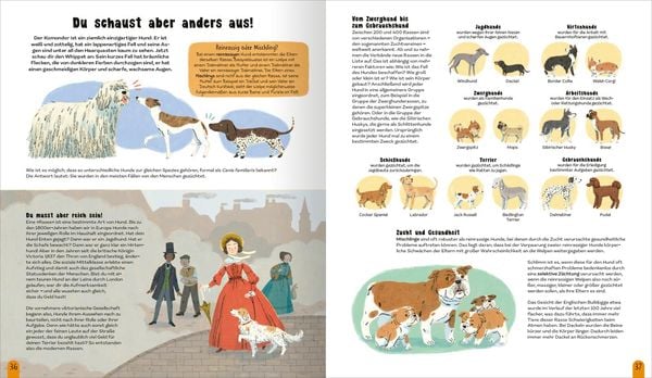 Produktbild: Die Welt der Hunde