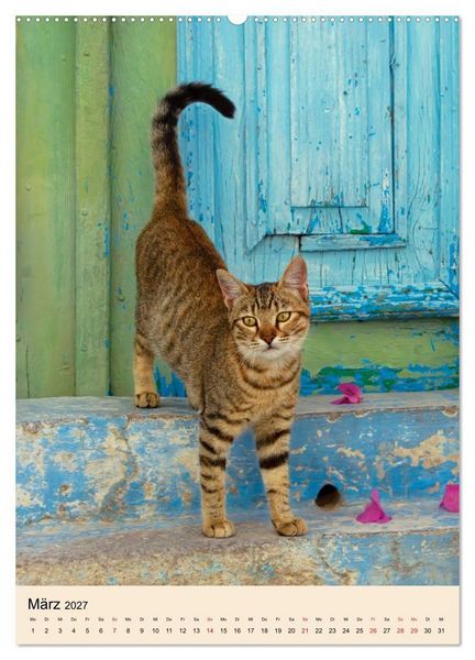 Produktbild: Katzen von Rhodos (hochwertiger Premium Wandkalender 2027 DIN A2 hoch), Kunstdruck in Hochglanz