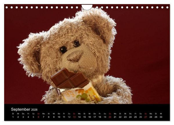 Produktbild: Herr Nopf ist da! (Wandkalender 2026 DIN A4 quer), CALVENDO Monatskalender