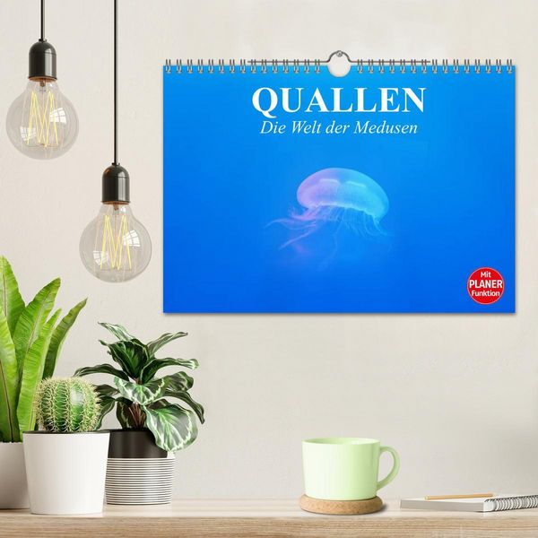 Produktbild: Quallen. Die Welt der Medusen (Wandkalender 2026 DIN A4 quer), CALVENDO Monatskalender