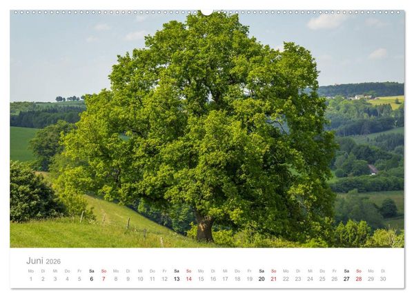 Produktbild: M&auml;rkisches Sauerland (Wandkalender 2026 DIN A2 quer), CALVENDO Monatskalender