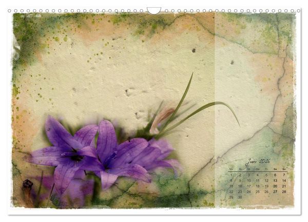 Produktbild: Bl&uuml;te trifft auf Aquarell (Wandkalender 2026 DIN A3 quer), CALVENDO Monatskalender