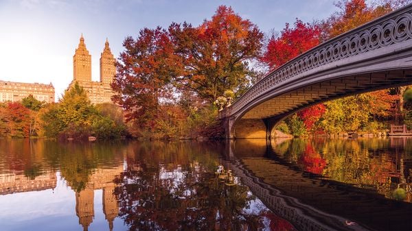 Produktbild: New York
