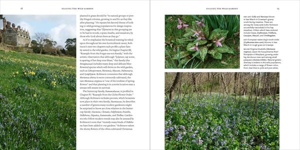 Produktbild: The Wild Garden