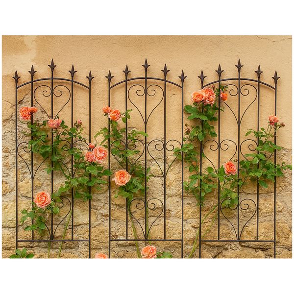 Produktbild: HTI-Living Produkt 41798 Artikel 53724