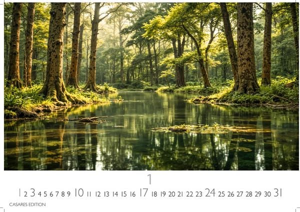 Produktbild: Wald & Natur Kalender 2027 &ndash; Wandkalender | Fotokalender Naturkalender Gro&szlig;format 35x50cm - Nat&uuml;rliche Sch&ouml;nheit & Ruhe f&uuml;r jeden Monat .