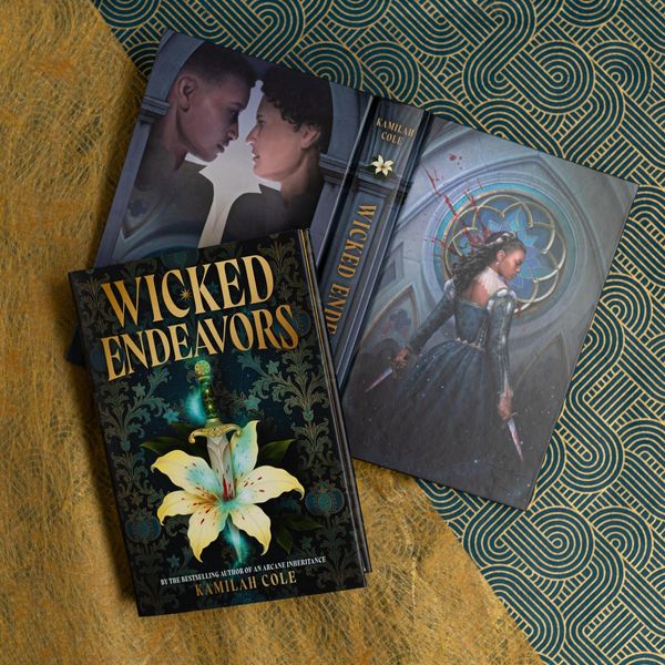 Produktbild: Wicked Endeavors