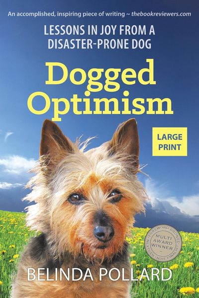 Produktbild: Dogged Optimism (Large Print)