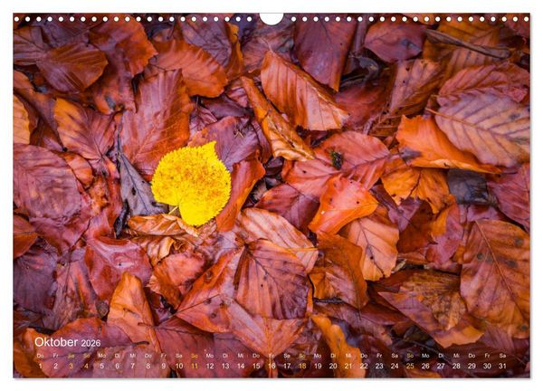 Produktbild: Landschaften und Natur 2026 (Wandkalender 2026 DIN A3 quer), CALVENDO Monatskalender