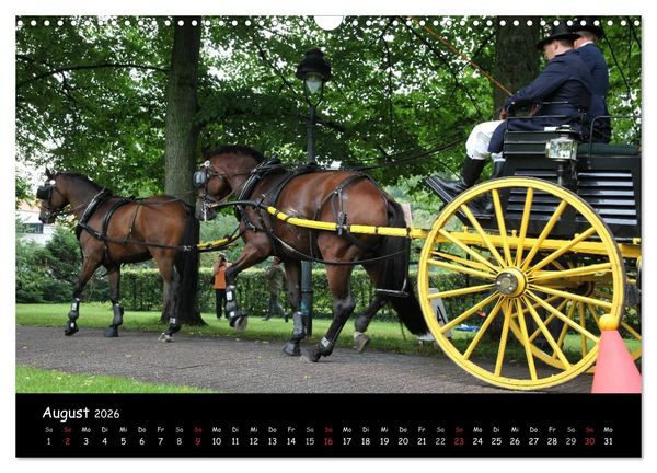 Produktbild: CIAT - Historischer Fahrsport in Celle (Wandkalender 2026 DIN A3 quer), CALVENDO Monatskalender